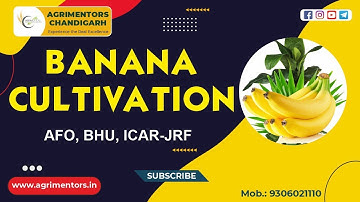 Banana Cultivation || केले की खेती || Varieties || Propagation || BHU || ICAR-JRF || Pre PG Raj