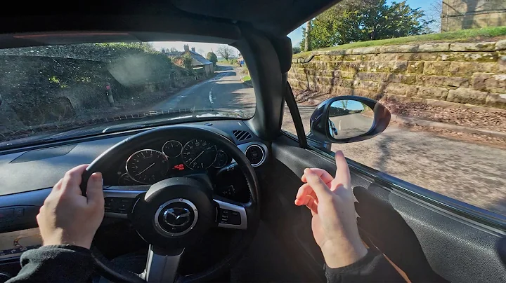 How to setup the mirrors on your car