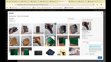 Cách đăng sản phẩm nhiều màu mà không thay đổi nội dung trong WordPress