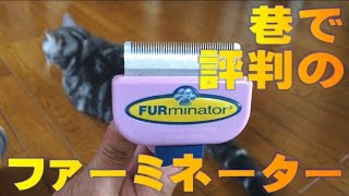 猫用抜け毛ブラシ売れ筋No1！　ファーミネーターの実力とは！　Brush for cats　FURminator