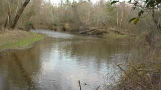 Private 29 Acre Farm For Sale