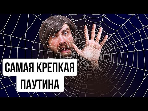 Видео: Из чего сделана паутина?