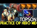 TOPSON [Earthshaker] Hard Practice OP Hero Mid 13 Min Scepter Dota 2