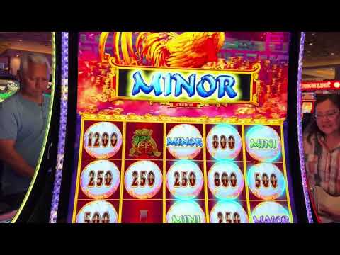 The BEST Lion Link Slot Video Ever!