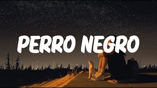 Bad Bunny x Feid  PERRO NEGRO (Letra/Lyrics)