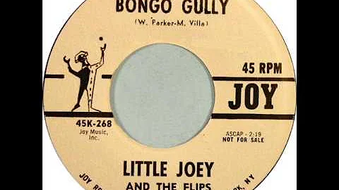 Little Joey & The Flips - Bongo Gully (Joy 268) 1962