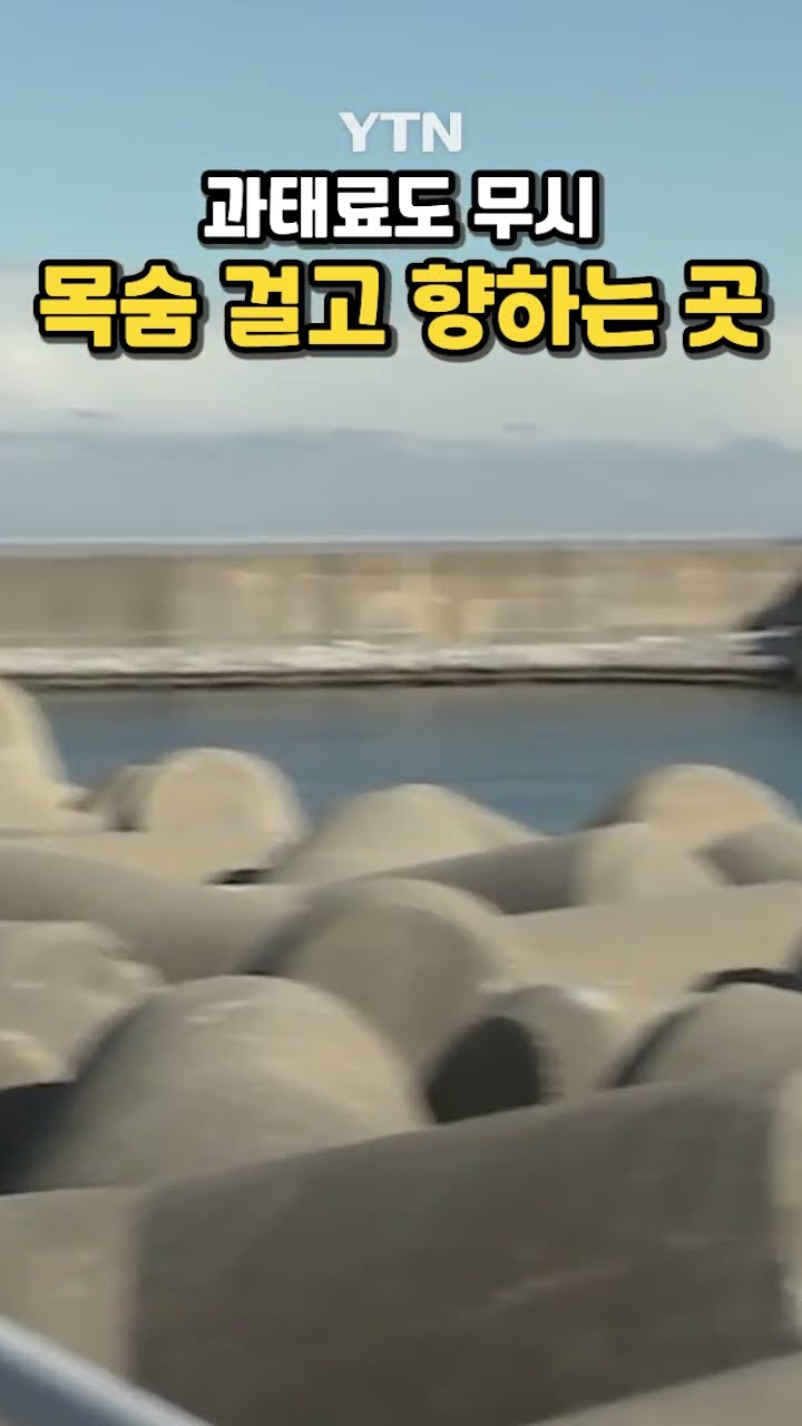 '낚시 명당'의 최후 #shorts / YTN
