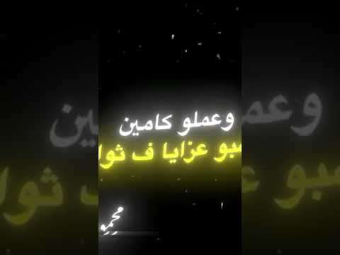 مهرجان دايره بتبطل كلاب الماده