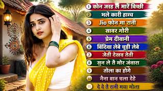 Kon Jagah La Mare Bichhi | Dinesh Patel | Champa Niashad | Audio Jukebox | Cg New Song 2026 Nonstop