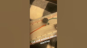 Arduino Music Machine and My Cat
