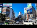 4K 60fps HDR iPhone 12 Pro MAX Test - Tokyo Morning Walk from Omotesando to Shibuya