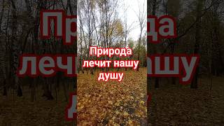 Природа лечит нашу душу #природа #осень #цитатыпрожизнь #психология #цитатыосмысле #love #nature