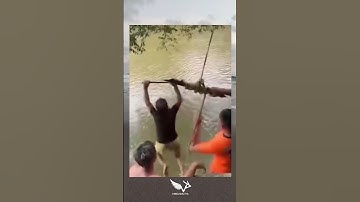 Tidurlah yang lelap kawanku, part 33 #fyp #fypシ゚viral #memes #lucu #fypage  #viperodactyl