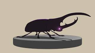 Beetle - Blender