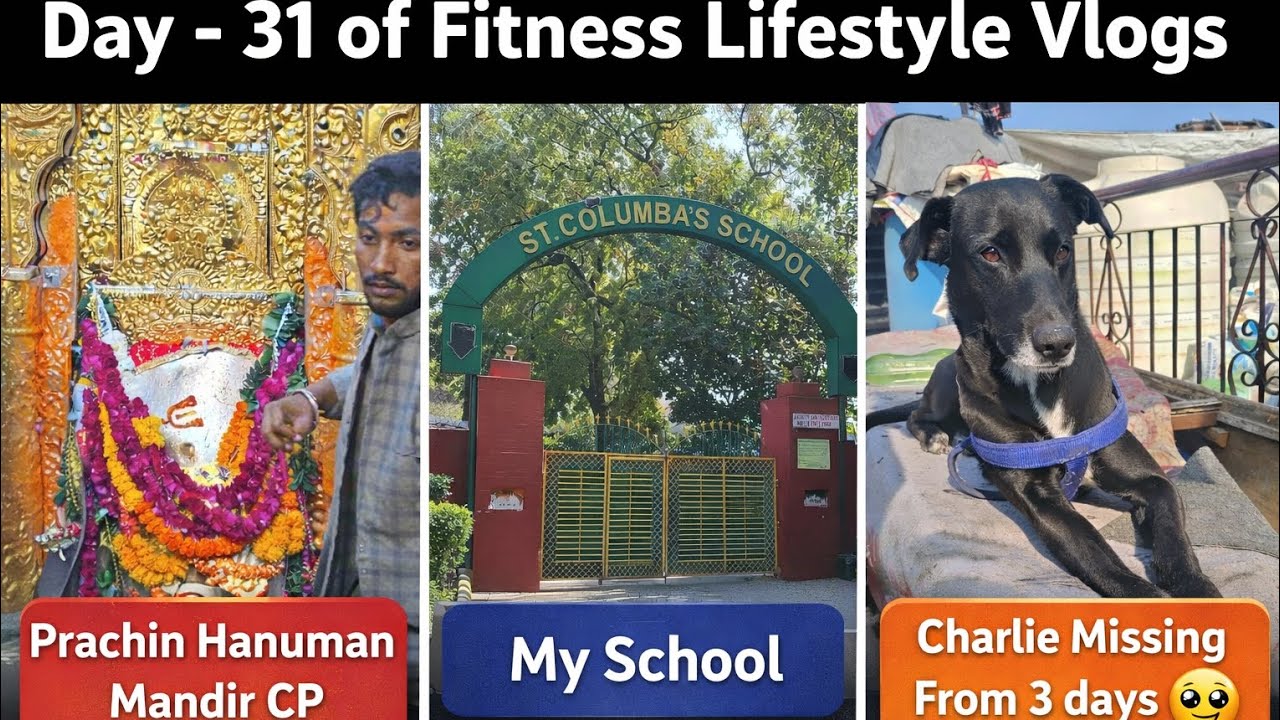 Day - 31 of Fitness Lifestyle Vlogs & My Charlie Missing From 3 days#viral #minivlog #dailyvlog 
