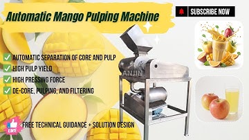 Mango Pulping Machine | Industrial Mango Juice & Pulp Processing Equipment | Denuclear Beater
