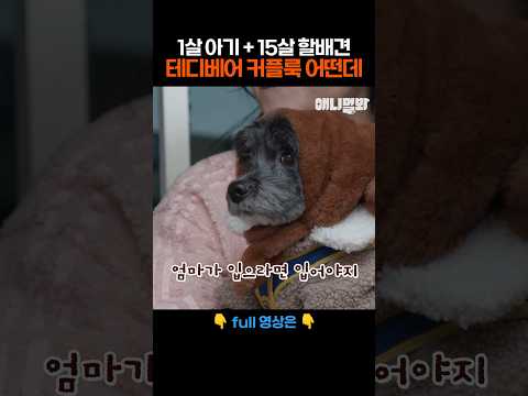 1살 애기랑 노견의 커플룩 어떤데! #애니멀봐 #shorts