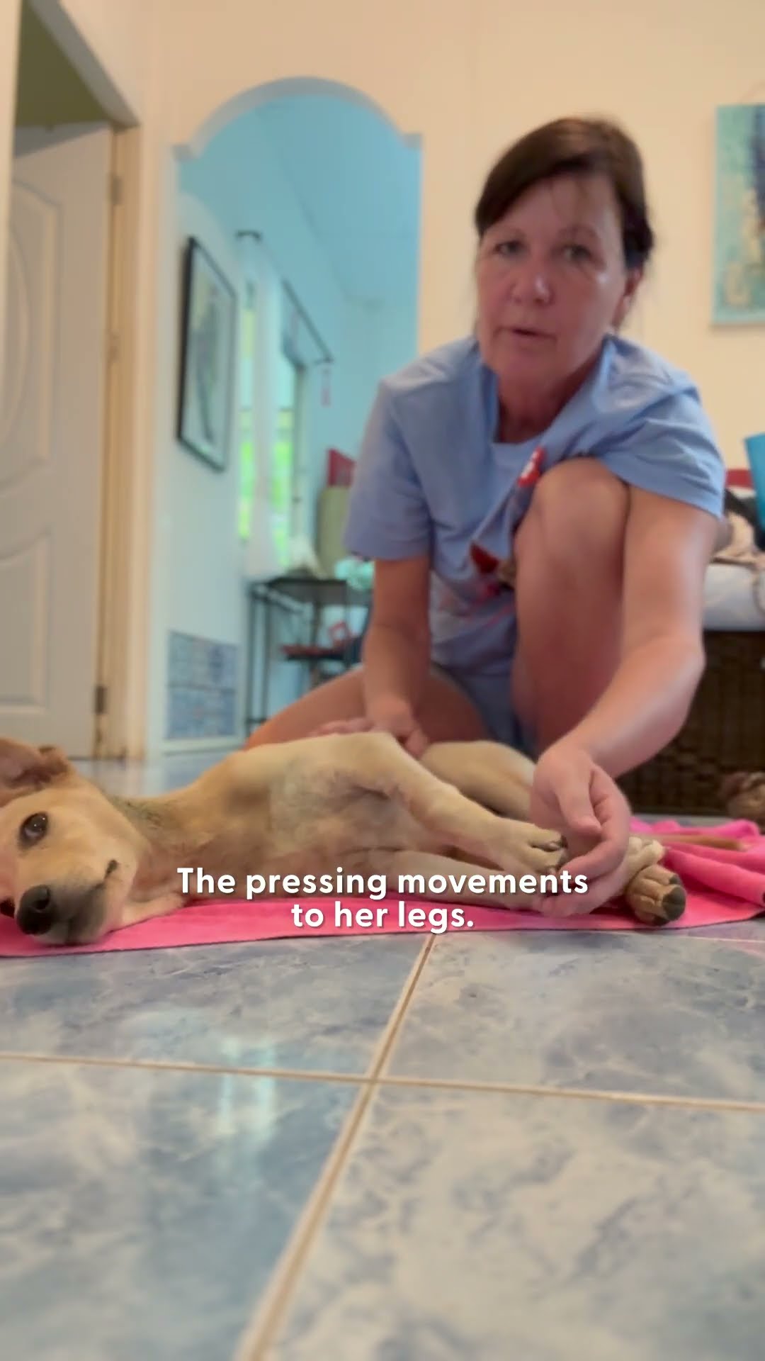 This Puppy Is An Absolute Miracle | The Dodo