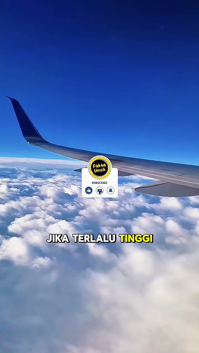 Kenapa Pesawat Terbang di Ketinggian 10.000 Meter? Ini Rahasianya!
