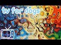 Videos for Dogs to Watch! Abstract Chillout Dog TV Entertainment with Music! image