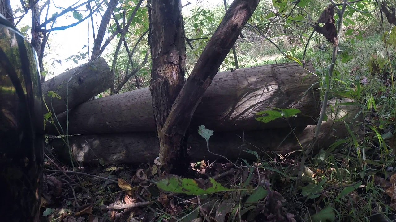 WoodsBall paintball @Lvlupsports 2018 Big Game