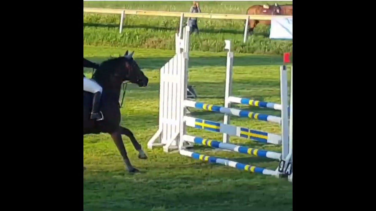 Top quality 1.10m 3e plats Sundsvalls rk 27/6-19