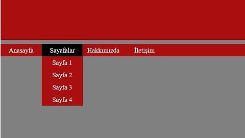 Asp.net de açılır menu ve anasayfa şablonu yapma