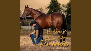 Homenaje a la hierra panameña