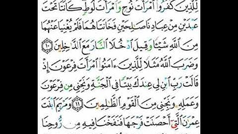 066 سورة التحريم من الاية 10 إلى  12