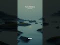 #ambientmusic #relaxingmusic #meditation #meditativemusic #peaceful #stillness