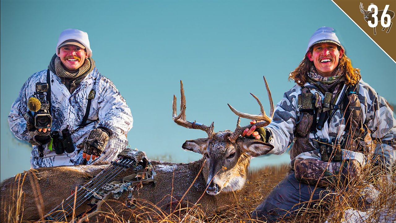 BUCK COMES to the BOW DECOY! MINNESOTA BOW HUNTING YouTube