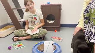 Rescue Readers at Peggy Adams Animal Rescue League by Peggy Adams Animal Rescue 244 views 1 year ago 42 seconds