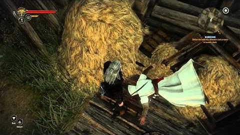 The Witcher 2 - Assassin