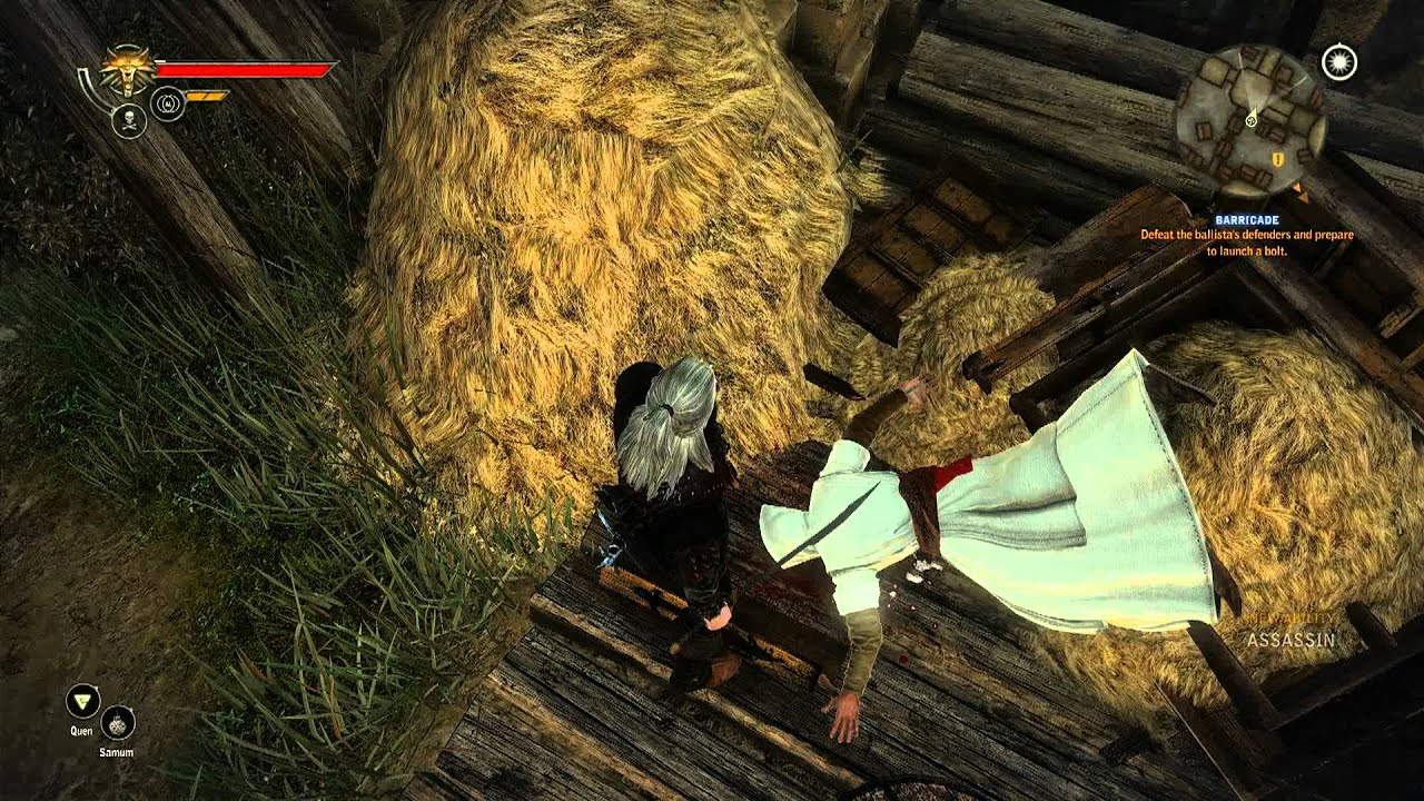 The Witcher 2 Assassin S Creed Easter Egg Youtube