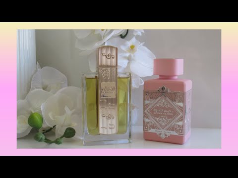 عطر أنغام و عطر بديع العود نوبل بلاش من لطافة عطر عطور لطافة
