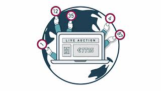 Preparing a live auction