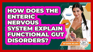 How Does The Enteric Nervous System Explain Functional Gut Disorders? - Gut Wellness Central