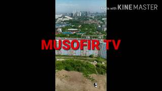 Vladivostok Musofir Tv N1