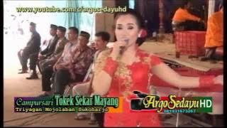 Sragenan Jangan Koro, Campursari Tokek Sekar Mayang