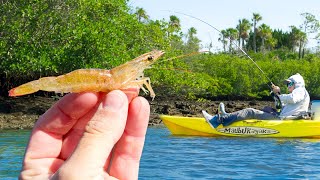 Catching Fish Every Cast! Cold Water Kayak Fishing
