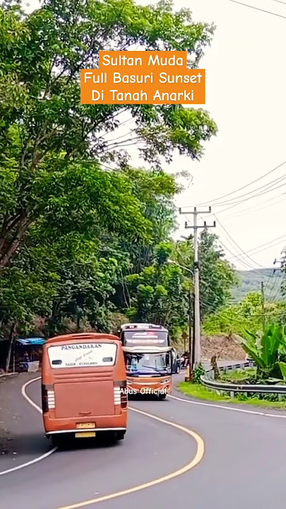 Basuri Sunset Ditanah Anarki #telolet #basuriairhorn #shortvideo
