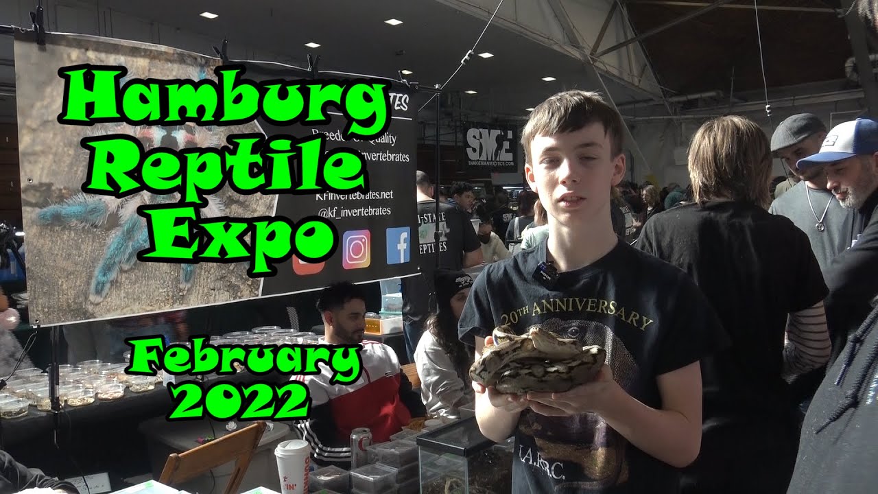 Hamburg Reptile Expo February 2022 YouTube