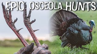 Best Florida Turkey Hunts | MASSIVE Hooks | Sunshine State Gobblers