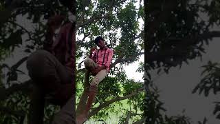 Vilas Raj. Pumas Bihar