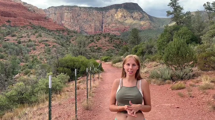 Wilson Mountain Time Lapse Painting - Top 4 Plein ...