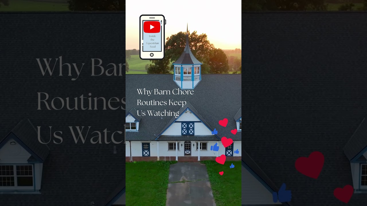 Why Do We Love Watching Barn Chores & Routines? // Inside the Equestrian Feed