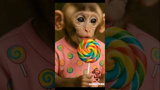 Monkey Again Aet Lolipop