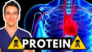 Is High Protein giving you Heart Disease?!? New study makes waves