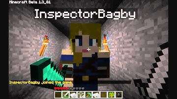 Minecraft: Or, the reason we haven