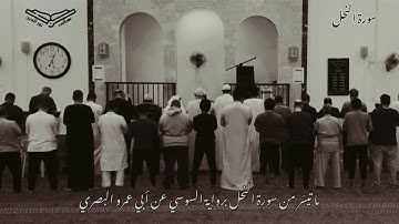 ما تيسر من سورة النحل (إن إبراهيم كان أمة قانتا لله حنيفا) برواية السوسي - أبو حفص هاني ابن نورالدين